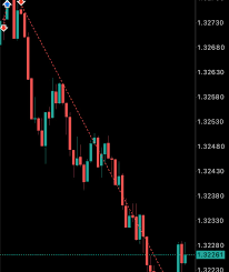 crypto,forex trading courses